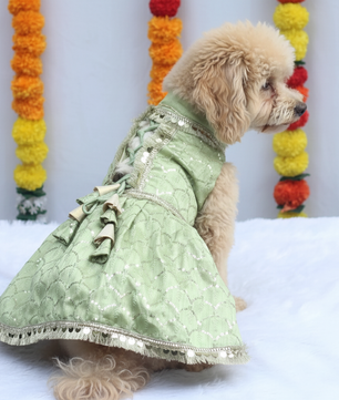 Pawgy Pets Shahi Lehenga- Dress Pastel Green for Dogs & Cats