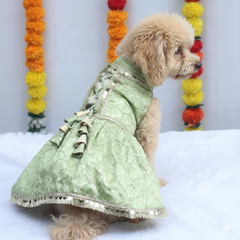 Pawgy Pets Shahi Lehenga- Dress Pastel Green for Dogs & Cats