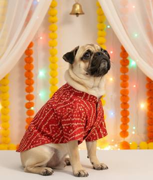 Pawgy Pets Red Bandani kurta for Dogs