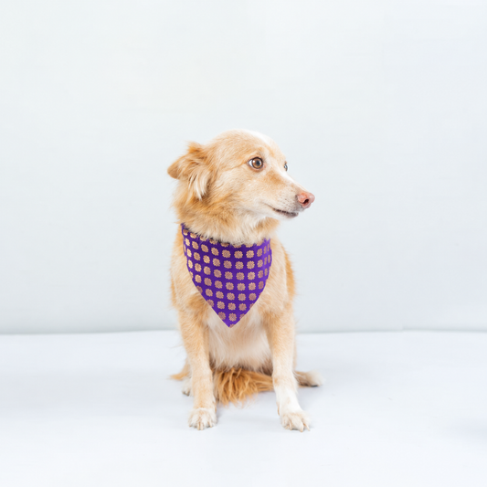 Purple Occasion Wear Bandana | For Dogs & Cats | Pawgy Pets