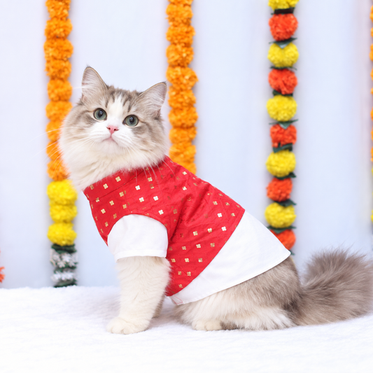 Red Pujo Kurta | For Cats | Pawgy Pets