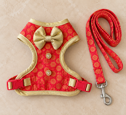 Pawgy Pets Celebration Harness & Leash for Dogs - Red and Gold