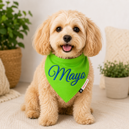 Lime Green Bandana | Personalised for Dogs | Pawgy Pets
