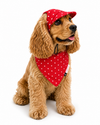 Red Star Cap and Bandana Set | For Dogs | Pawgy Pets