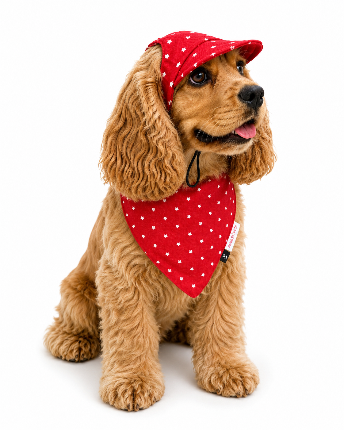 Red Star Cap and Bandana Set | For Dogs | Pawgy Pets
