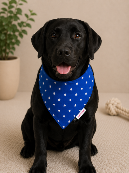 Royal Blue Star Bandana | For Dogs | Pawgy Pets