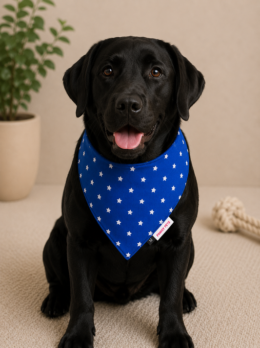 Royal Blue Star Bandana | For Dogs | Pawgy Pets