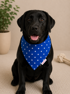 Royal Blue Star Bandana | For Dogs | Pawgy Pets