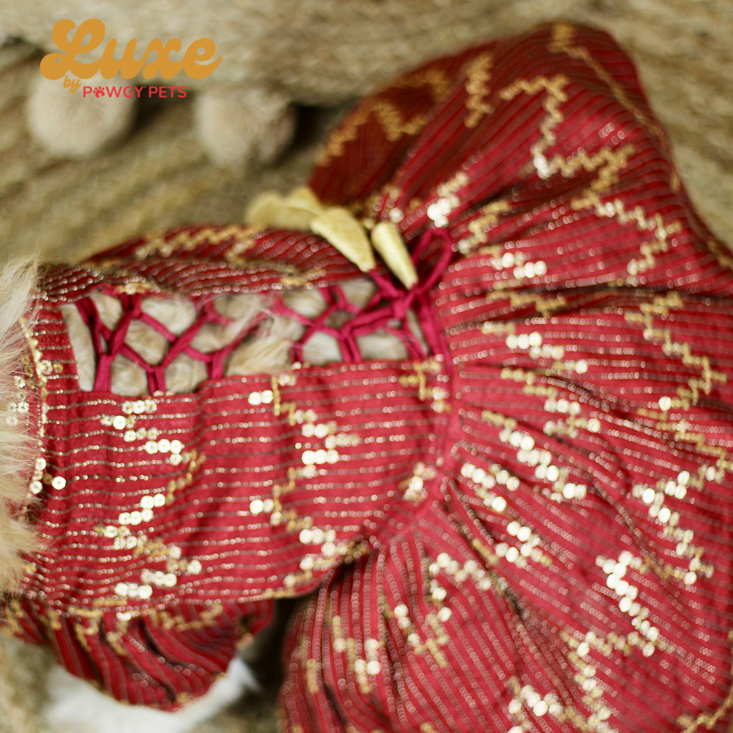 Luxe by Pawgy Pets Bridal Maroon Lehenga Dress