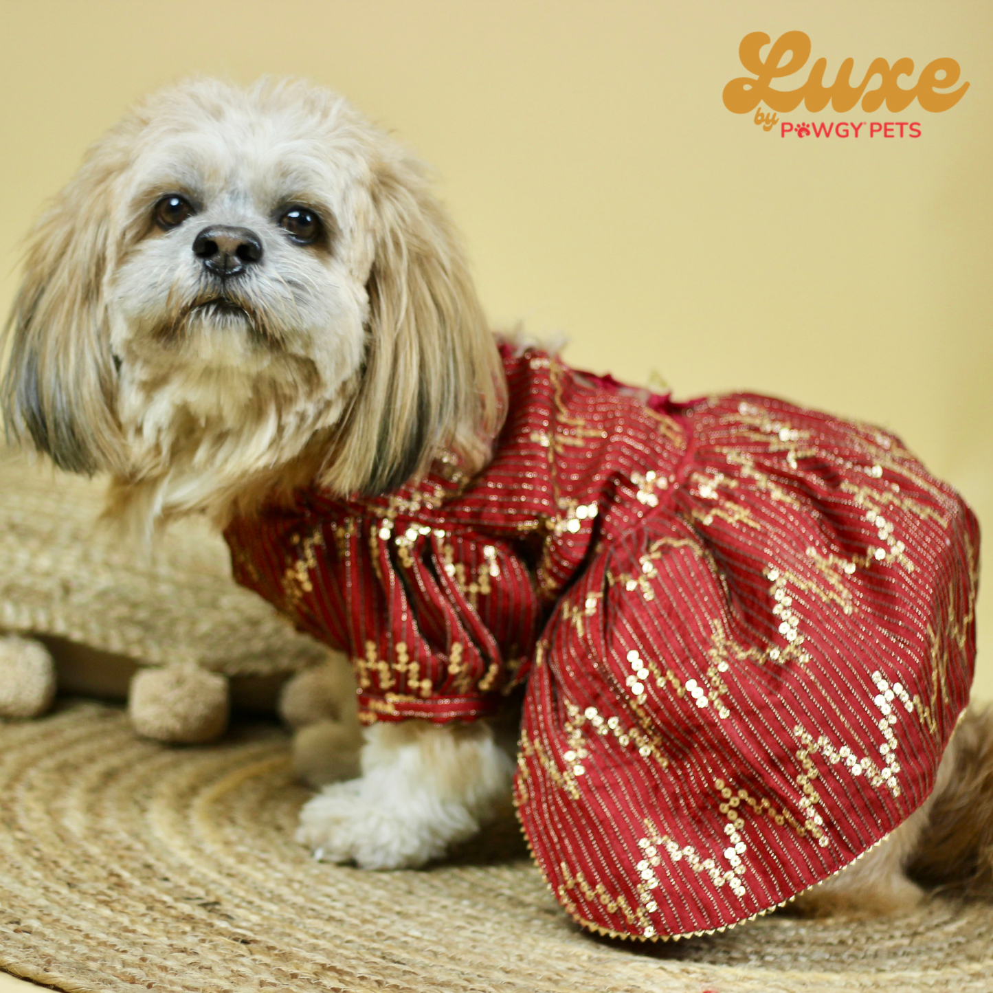 Luxe by Pawgy Pets Bridal Maroon Lehenga Dress