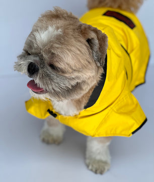 Raincoat: Yellow (Taxi)
