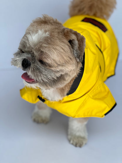 Yellow Taxi Raincoat | For Dogs | Pawgy Pets