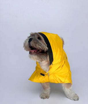 Raincoat: Yellow (Taxi)