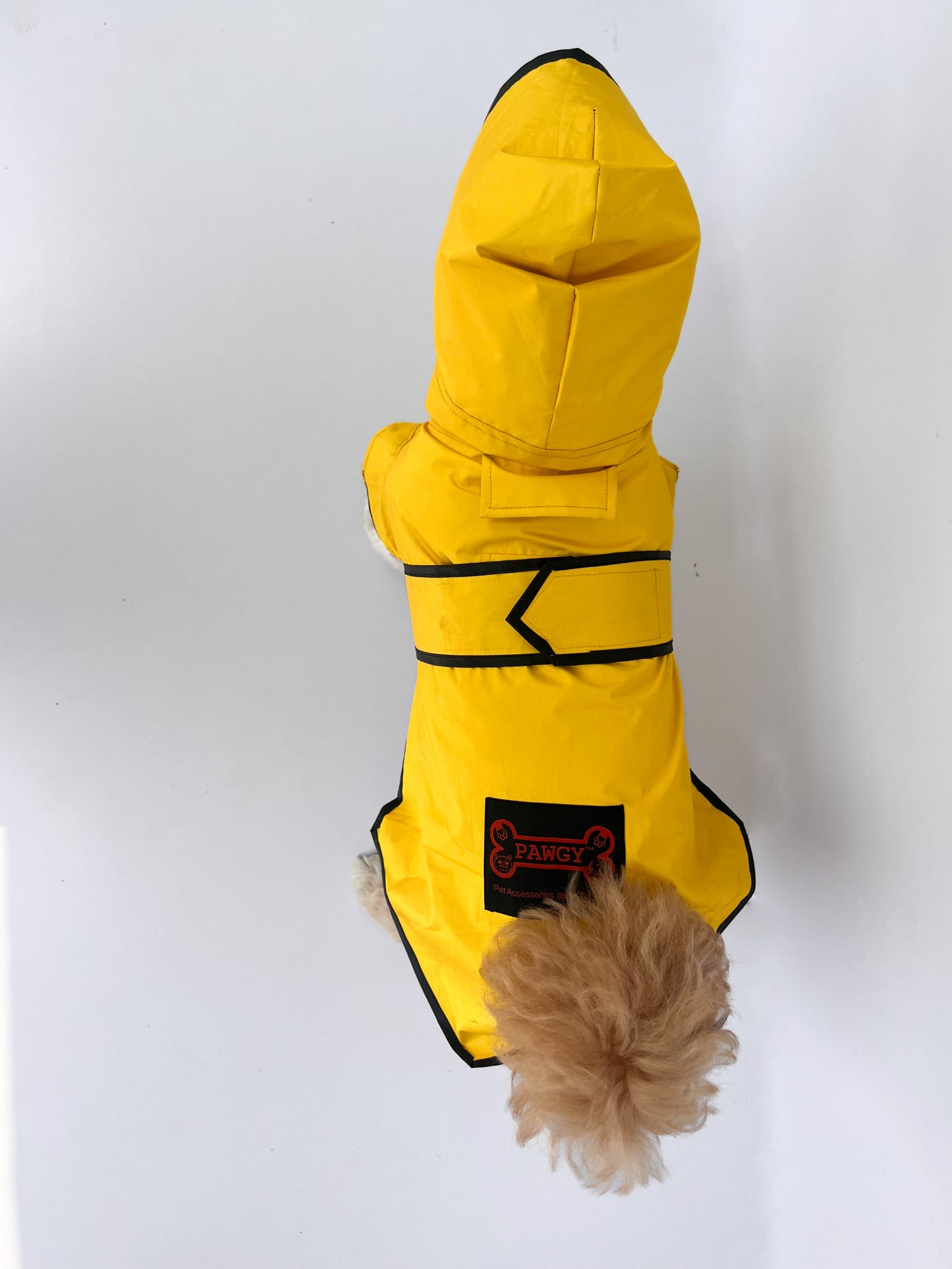 Yellow Taxi Raincoat | For Dogs | Pawgy Pets