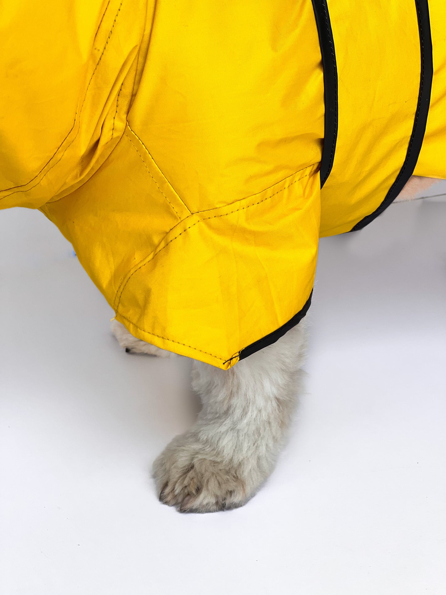 Yellow Taxi Raincoat | For Dogs | Pawgy Pets