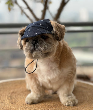 Pawgy Pets Dog Cap:Hearty Denim for Dog & Cats