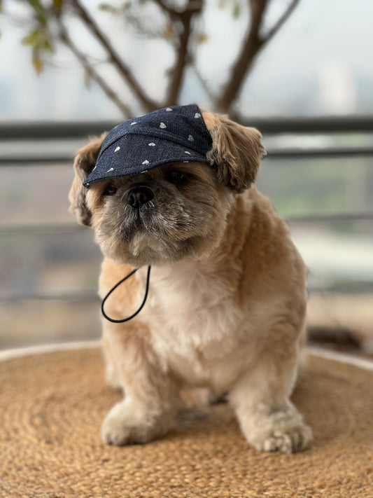 Pawgy Pets Dog Cap:Hearty Denim for Dog & Cats
