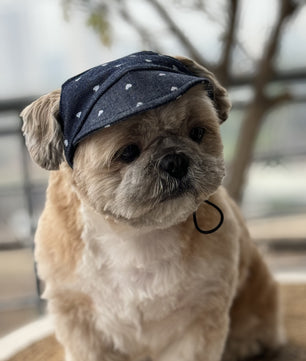 Pawgy Pets Dog Cap:Hearty Denim for Dog & Cats