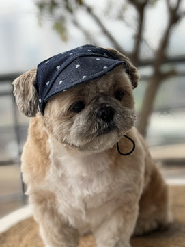 Pawgy Pets Dog Cap:Hearty Denim for Dog & Cats