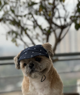 Pawgy Pets Dog Cap:Hearty Denim for Dog & Cats