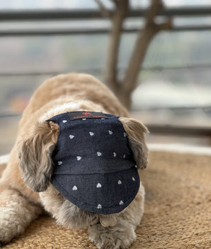 Pawgy Pets Dog Cap:Hearty Denim for Dog & Cats
