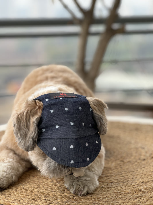Pawgy Pets Dog Cap:Hearty Denim for Dog & Cats