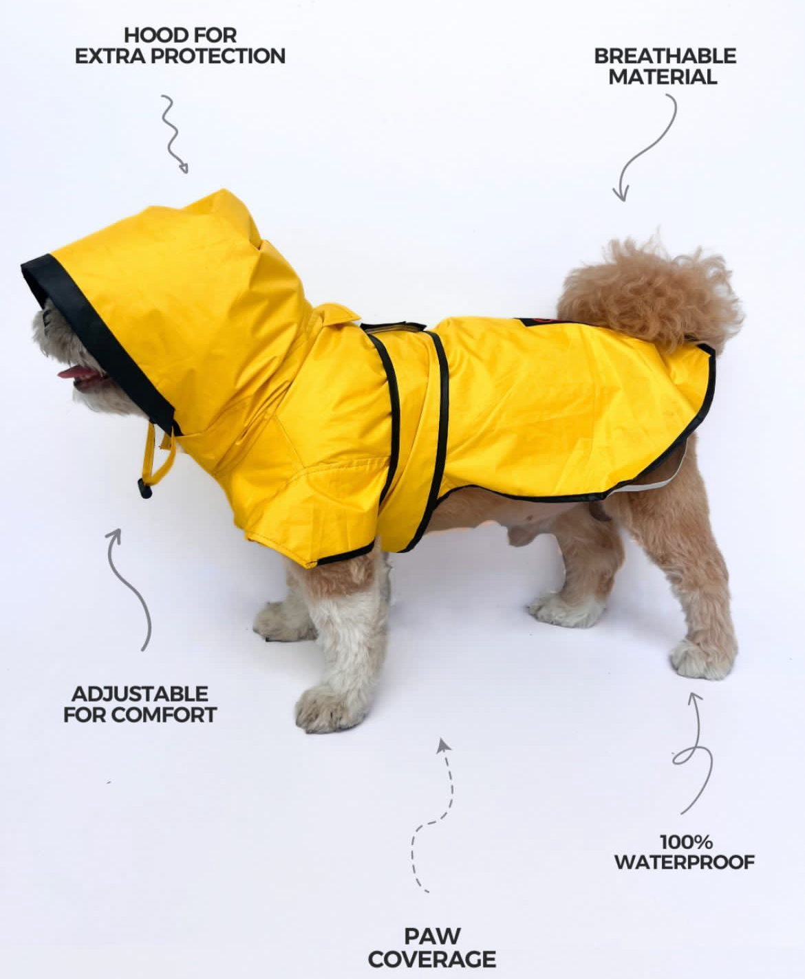 Yellow Taxi Raincoat | For Dogs | Pawgy Pets