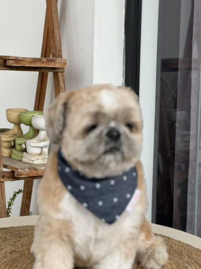 Pawgy Pets Hearty Denim Bandana for Dogs & Cats