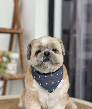 Pawgy Pets Hearty Denim Bandana for Dogs & Cats