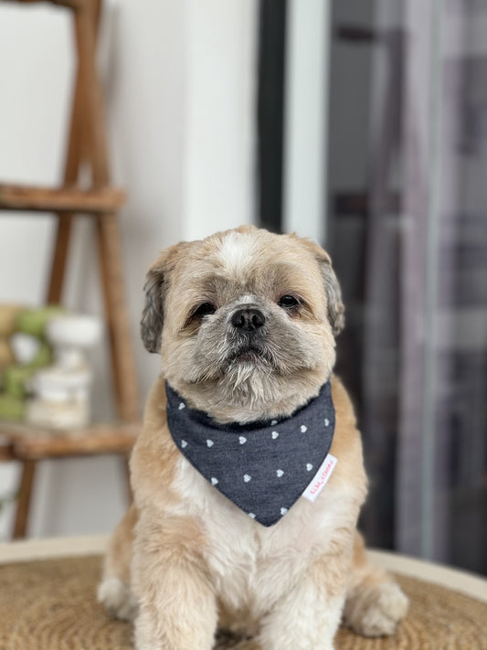 Pawgy Pets Hearty Denim Bandana for Dogs & Cats