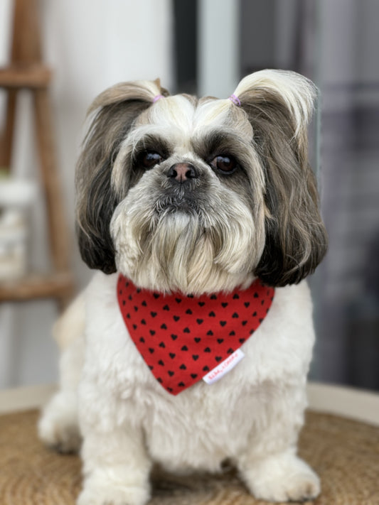 Pawgy Pets Red Heart Bandana for Dogs & Cats