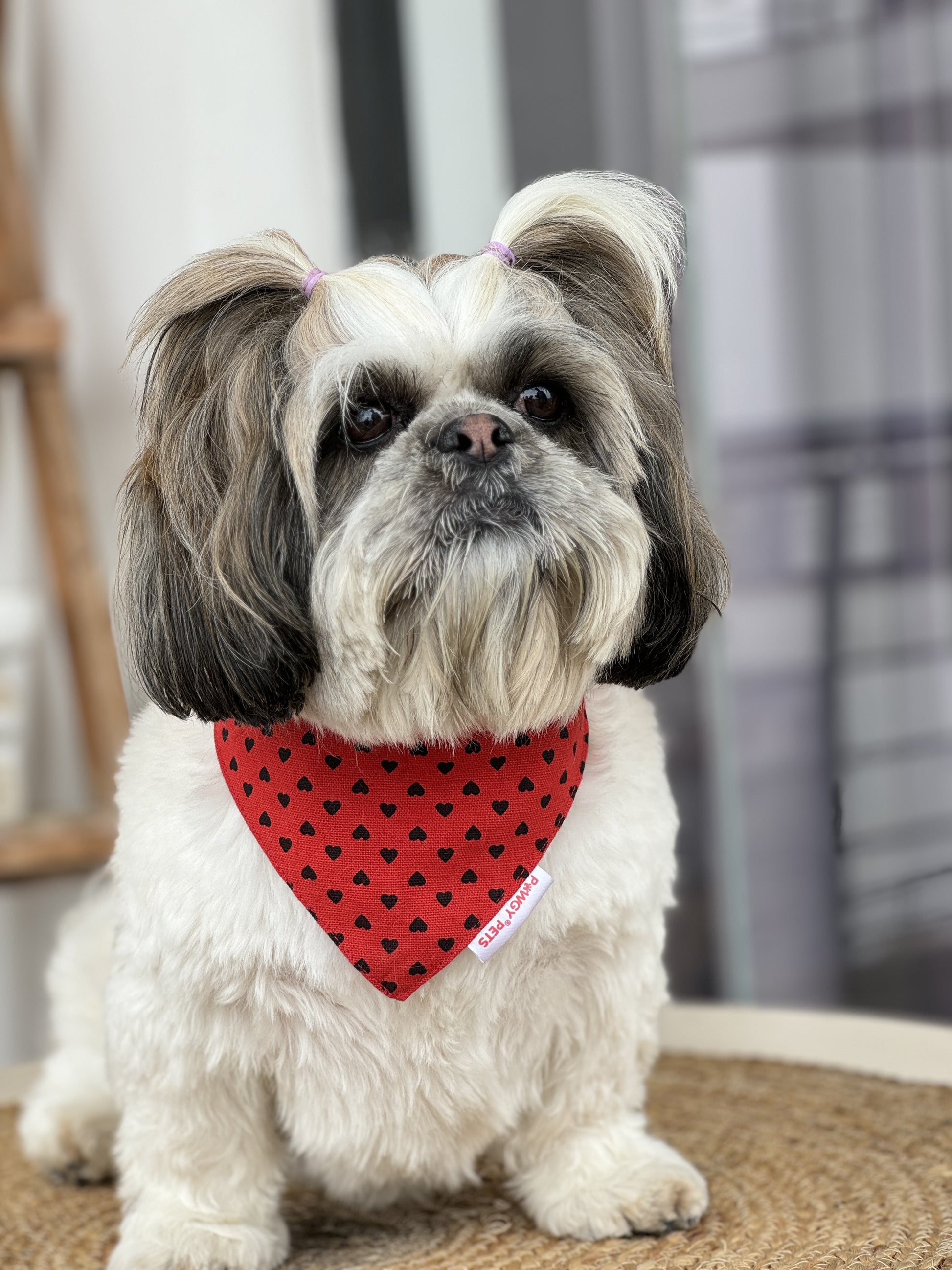 Pawgy Pets Red Heart Bandana for Dogs & Cats