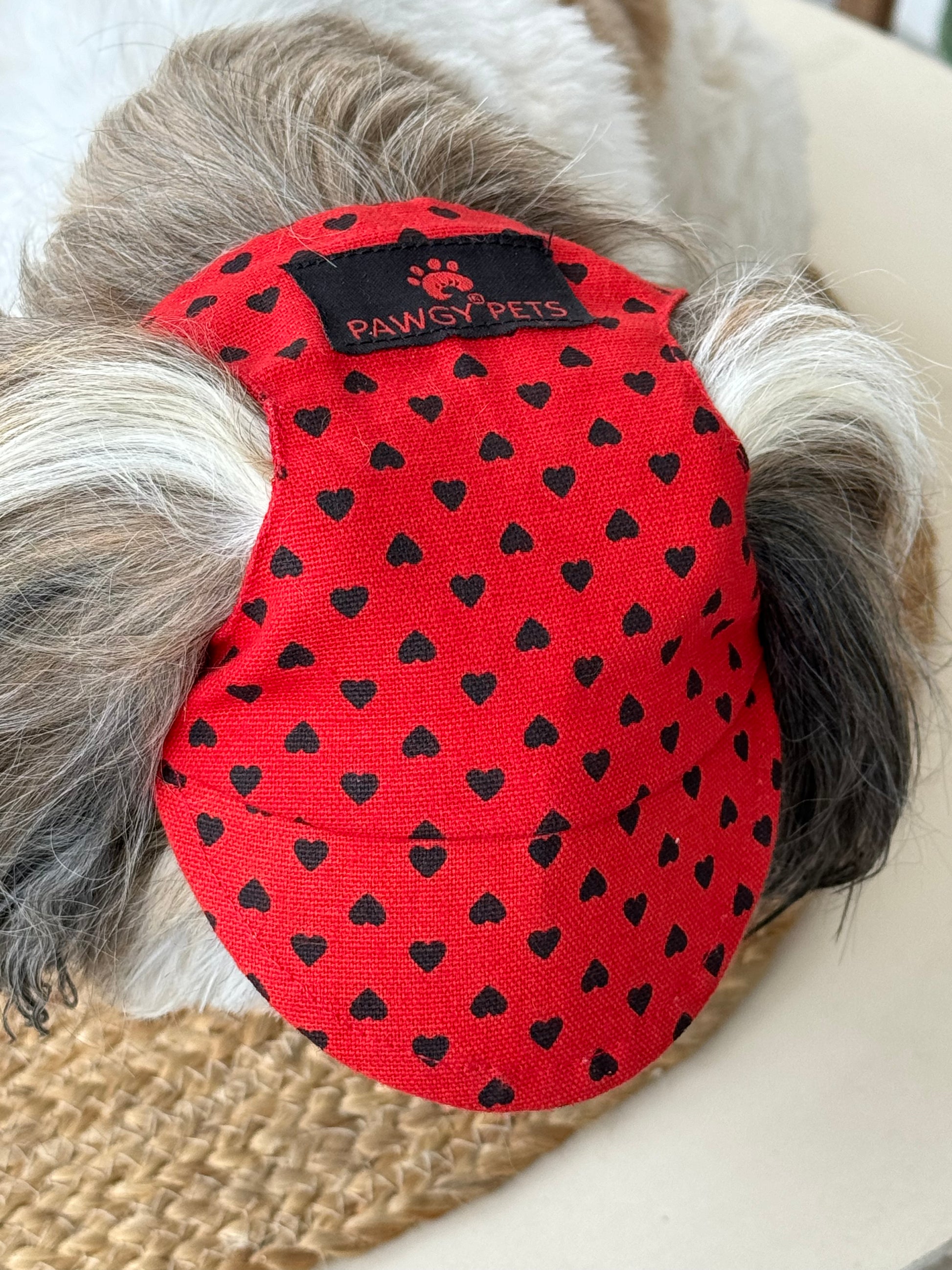 Pawgy Pets Dog Cap: Red Heart for Dog & Cats