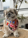 Pawgy Pets Multi-coloured Bandana for Dogs & Cats