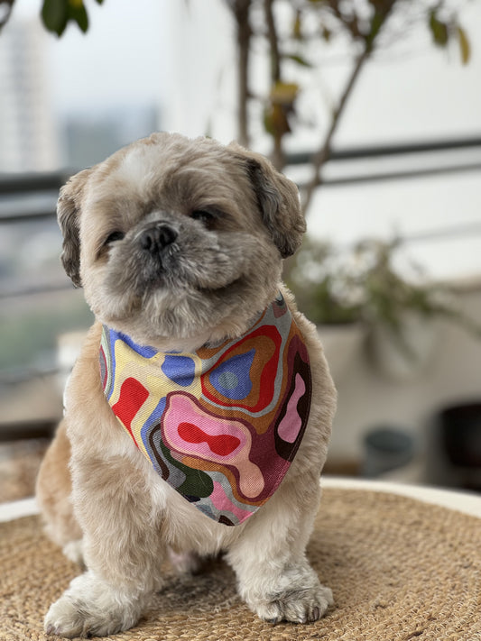 Pawgy Pets Multi-coloured Bandana for Dogs & Cats