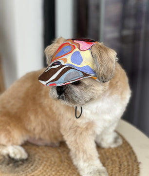 Pawgy Pets Dog Cap: Multi colour for Dog & Cats