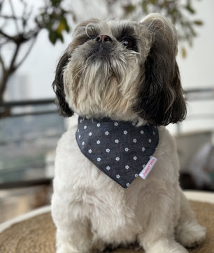 Pawgy Pets Floral Denim Bandana for Dogs & Cats
