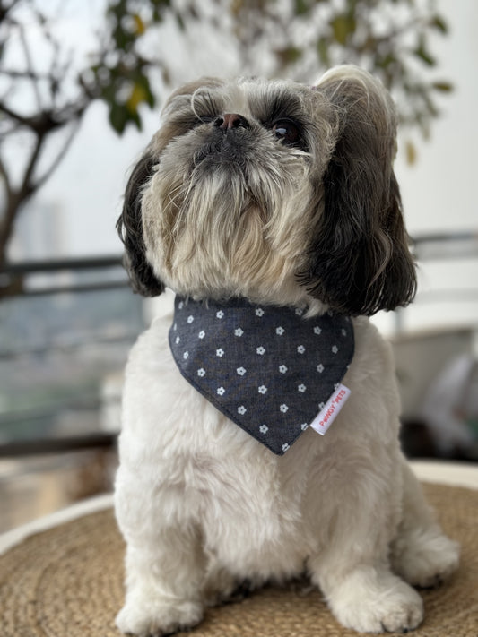 Pawgy Pets Floral Denim Bandana for Dogs & Cats