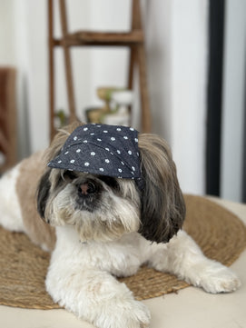 Pawgy Pets Dog Cap:Floral Denim for Dog & Cats