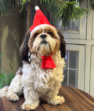 Pawgy Pets Dog Christmas Cap