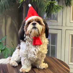 Pawgy Pets Dog Christmas Cap