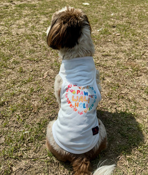 Pawgy Pets “Paw Wali Holi” T-shirt for Dogs and Cats