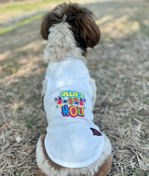 Pawgy Pets Personalised Holi T-shirt for Dogs and Cats