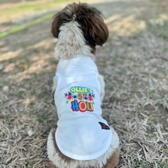 Pawgy Pets Personalised Holi T-shirt for Dogs and Cats