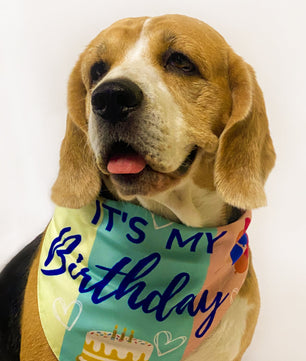 Pawgy Pets Reversible Birthday Bandana for Dogs & Cats