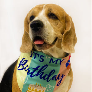 Birthday Bandana + Toy combo