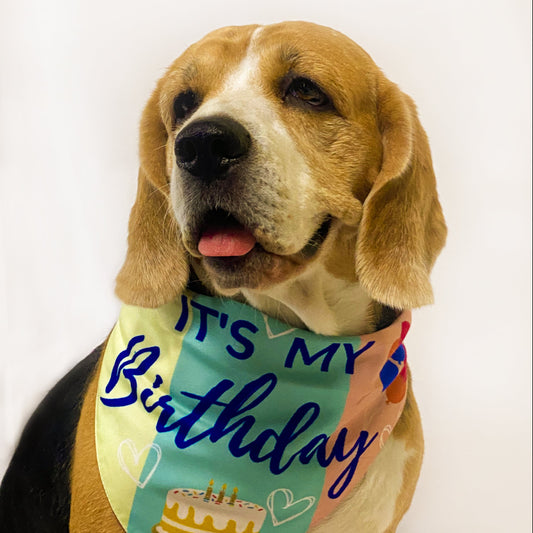 Pawgy Pets Reversible Birthday Bandana for Dogs & Cats