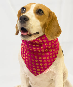 Pawgy Pets Occasion wear bandana Pink for Dogs & Cats