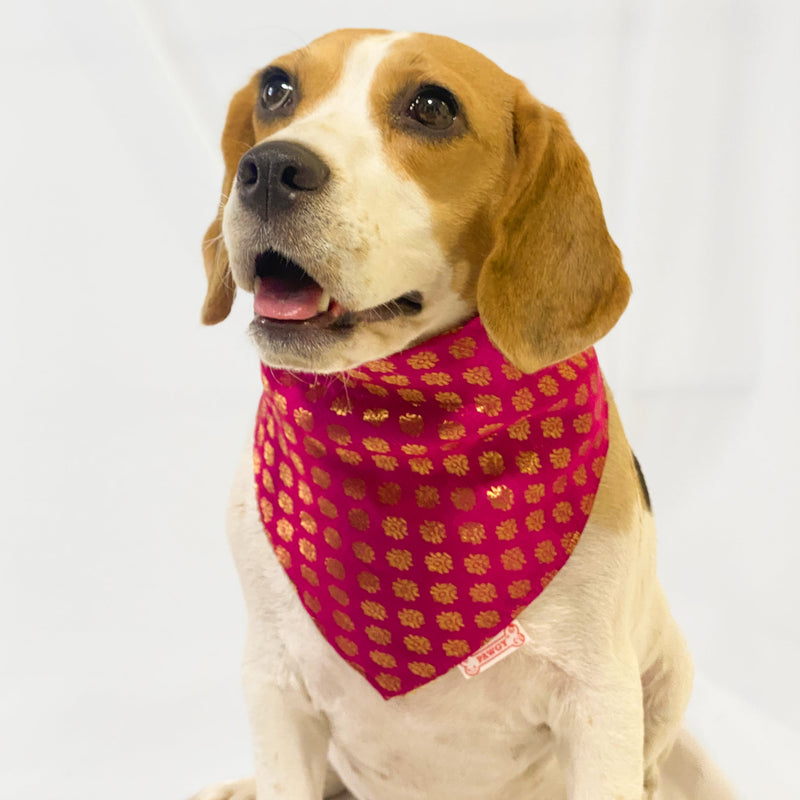 Pink Occasion Wear Bandana | For Dogs & Cats | Pawgy Pets