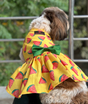 Pawgy Pets Watermelon sugar dress Yellow for Dogs